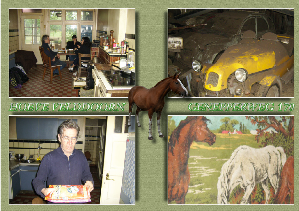 parisian kitchen utensils shop interior